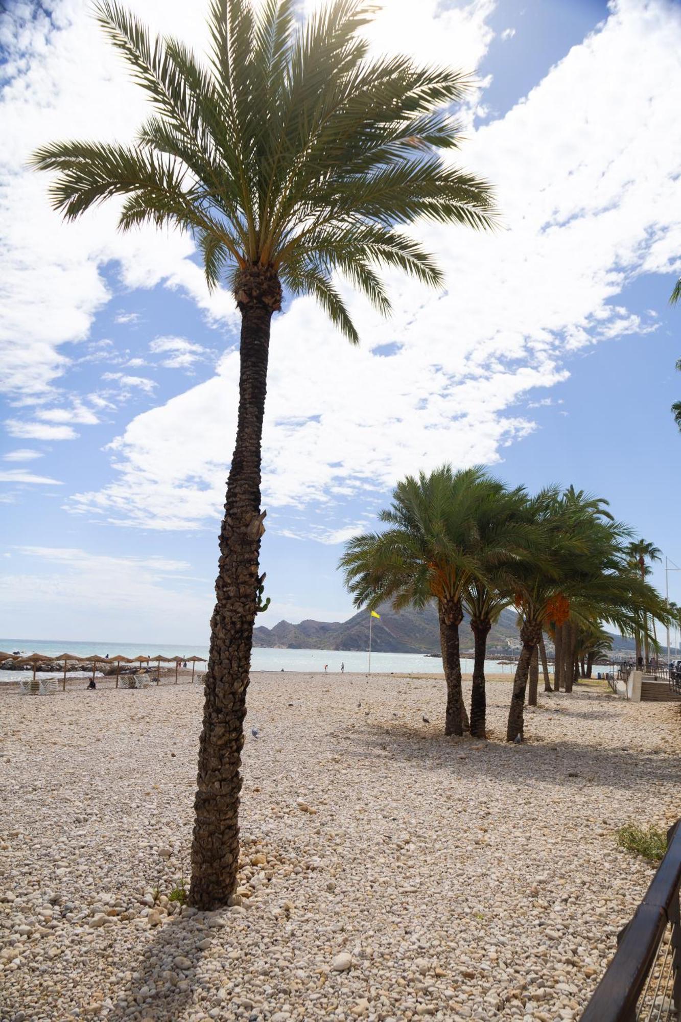 El Toro Apartments Altea Kültér fotó